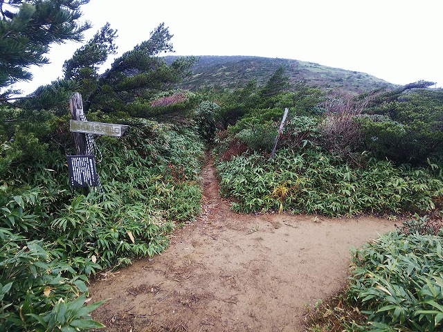 笹平分岐　雨が降ってきた